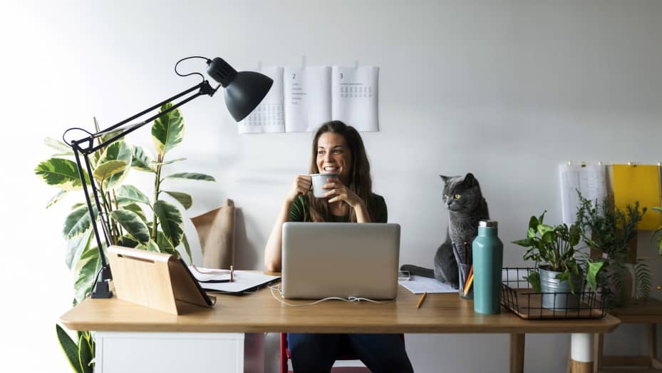Apple data entry position remote jobs, Apple work from home, Apple careers remote